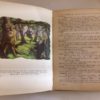 Libro Pinocchio Collodi Editrice Boschi 1953 - PNC19 - immagine 4