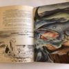Libro Il Tesoro Illustrato Collodi Le Avventure di Pinocchio 1959 - PNC20 - immagine 4