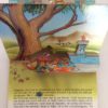 Fiaba Tridimesionale Pinocchio Illustrazioni di Francocci Luca La Lucciola 1992 - PNC111 - immagine 3