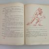 Le Avventure di Pinocchio C. Collodi G. Galizzi Ristampa S.E.I. Torino 1944 - PNC351 - immagine 4