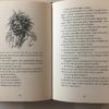 Le Avventure di Pinocchio Collodi I Delfini E. Mazzanti Fabbri Editori 2002 - PNC693 - immagine 4