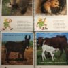 Gli allegri incontri di PINOCCHIO Animali in Libertà & della Fattoria  - PNC823 - immagine 3