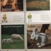 Gli allegri incontri di PINOCCHIO Animali in Libertà & della Fattoria  - PNC823 - immagine 4