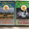 Gli allegri incontri di PINOCCHIO Animali in Libertà & della Fattoria  - PNC823