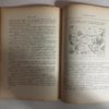 Il Nuovo Pinocchio Dan Voivod Editrice Transilvania Milano 1957 - PNC240 - immagine 4
