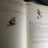 PINOCCHIO Collodi Illustrazioni di MARAJA Edizioni CARROCCIO ARCOBALENO - PNC267 - immagine 4