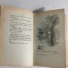 PINOCCHIETTO IN EGITTO Vittorio Lucatelli Casa Editrice BIETTI  - PNC286 - immagine 4