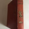 PINOCCHIO C.Collodi Disegni di F.Faorzi Casa Editrice A.Salani 1941 - PNC317 - immagine 2