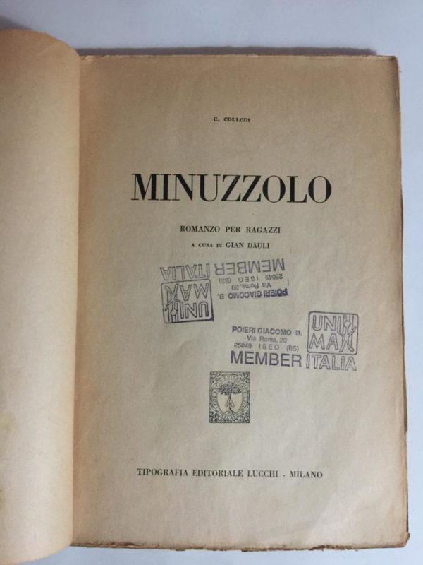 MINUZZOLO c. Collodi A Cura di Gian Dauli Tipografia Editoriale Lucchi 1942 - PNC239 - immagine 3