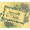 Cartolina Augurale in Celluloide Primi 900 CPA Fantaisie - CRT49 - immagine 2