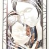 Quadro Madonna con Bambino in Argento - AUC4556