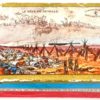 Scatola di Pennini Nibs Sergent Major Supérieures N.2500 - AUC4818