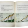 Libro Assicurazioni L'Abeille 1856-1956 - AUC6155 - immagine 4