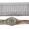 Orologio da Polso Swatch GLOBAL THINKING SUJZ400 - ANC2509