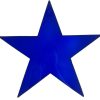Insegna Luminosa Stella Blu in Plexiglass - ANC3076 - immagine 2
