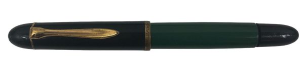 Penna Stilografica Pelikan 120 Verde Capuccio Nero Rifiniture Oro - AUC7845