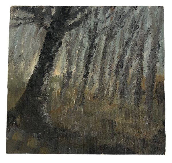 Quadro Olio su Tela Alberi 1977 - AUC7881